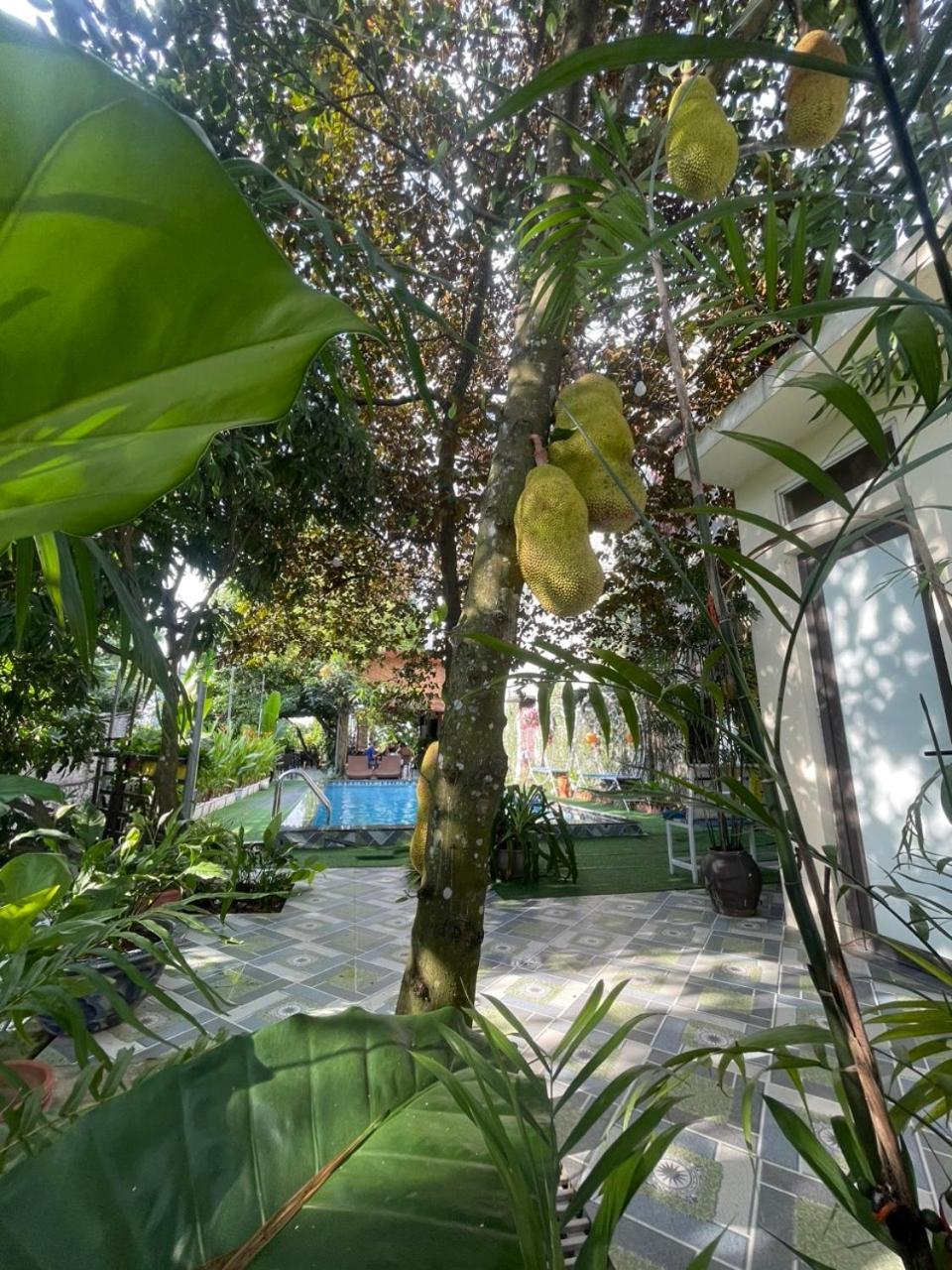 נין בין Tam Coc Relax Homestay מראה חיצוני תמונה